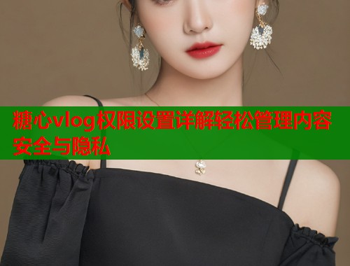 糖心vlog权限设置详解轻松管理内容安全与隐私